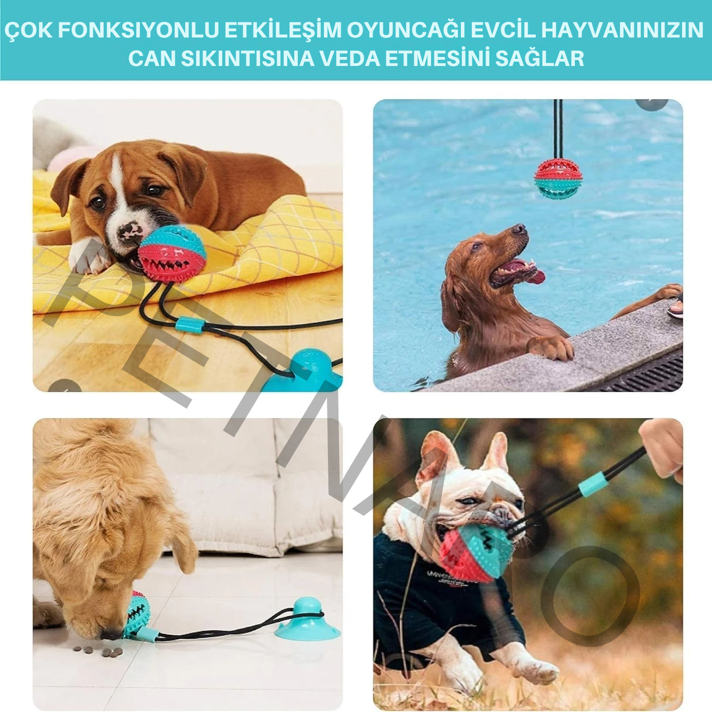 Petnaro™ Etkileşimli Köpek Çiğneme Oyuncak Seti