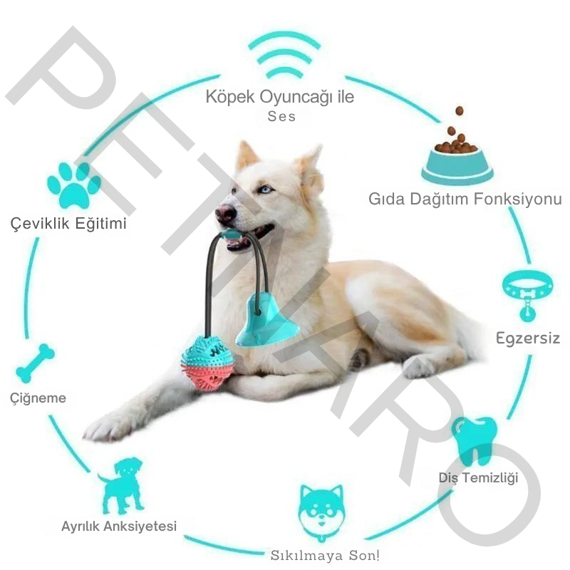 Petnaro™ Etkileşimli Köpek Çiğneme Oyuncak Seti