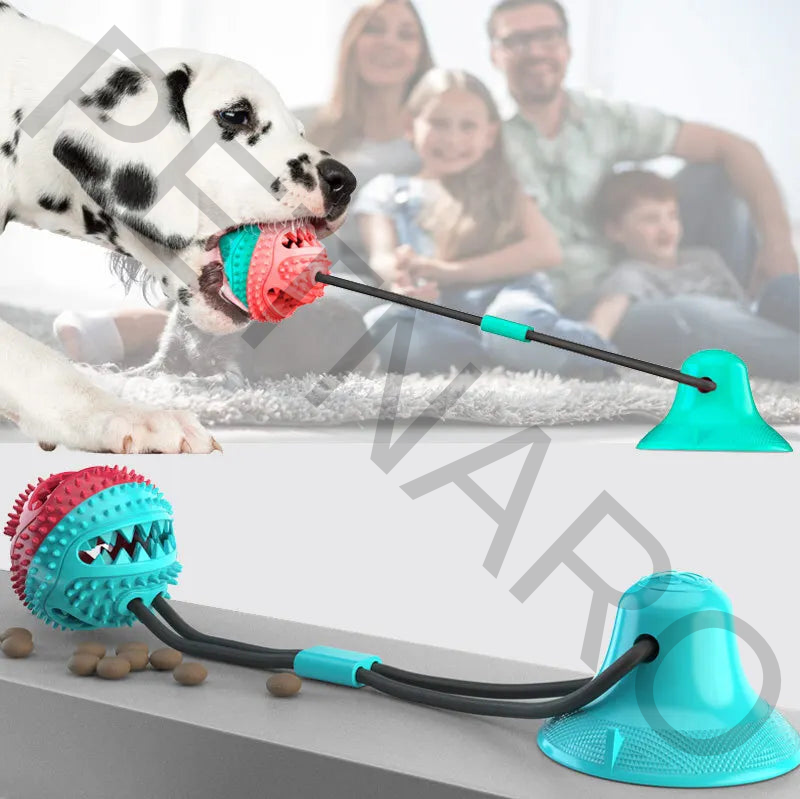 Petnaro™ Etkileşimli Köpek Çiğneme Oyuncak Seti