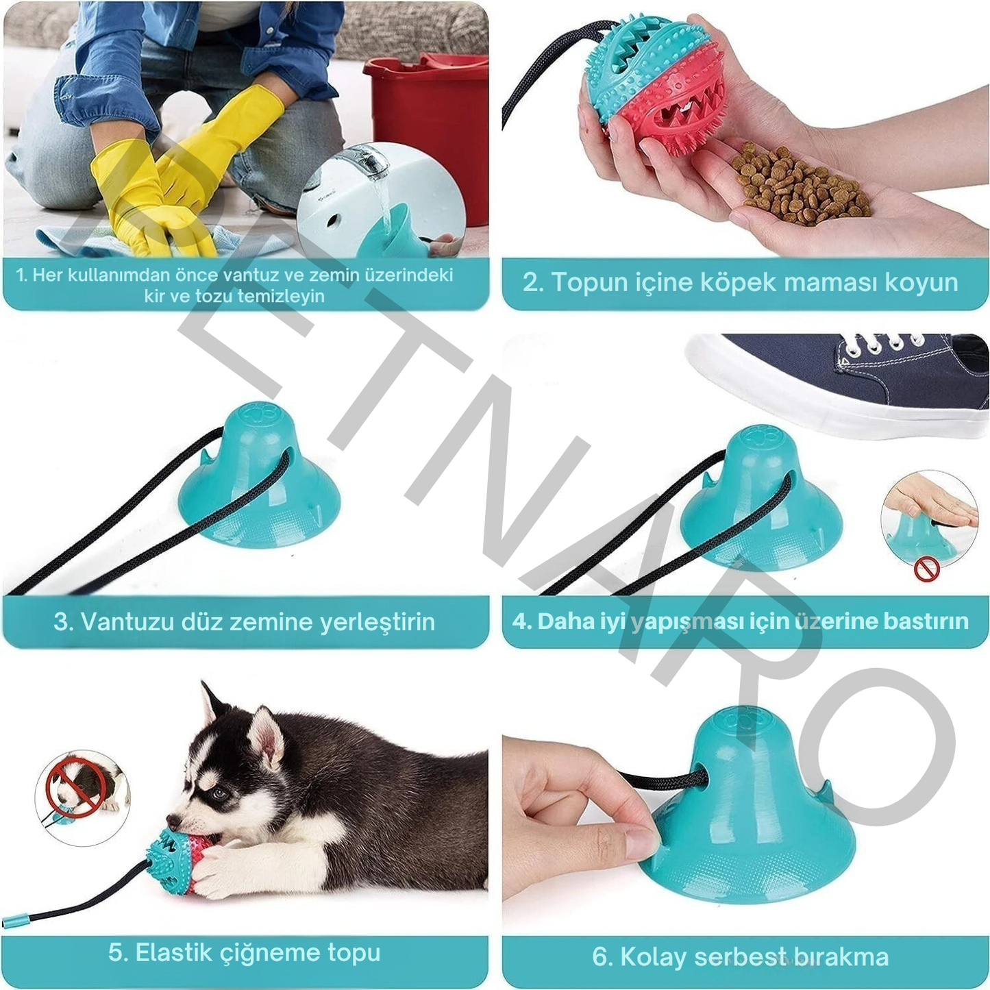 Petnaro™ Etkileşimli Köpek Çiğneme Oyuncak Seti
