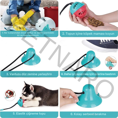 Petnaro™ Etkileşimli Köpek Çiğneme Oyuncak Seti