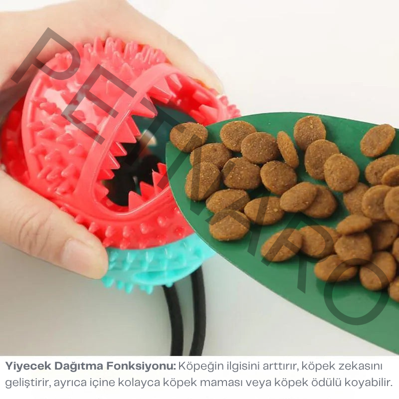 Petnaro™ Etkileşimli Köpek Çiğneme Oyuncak Seti